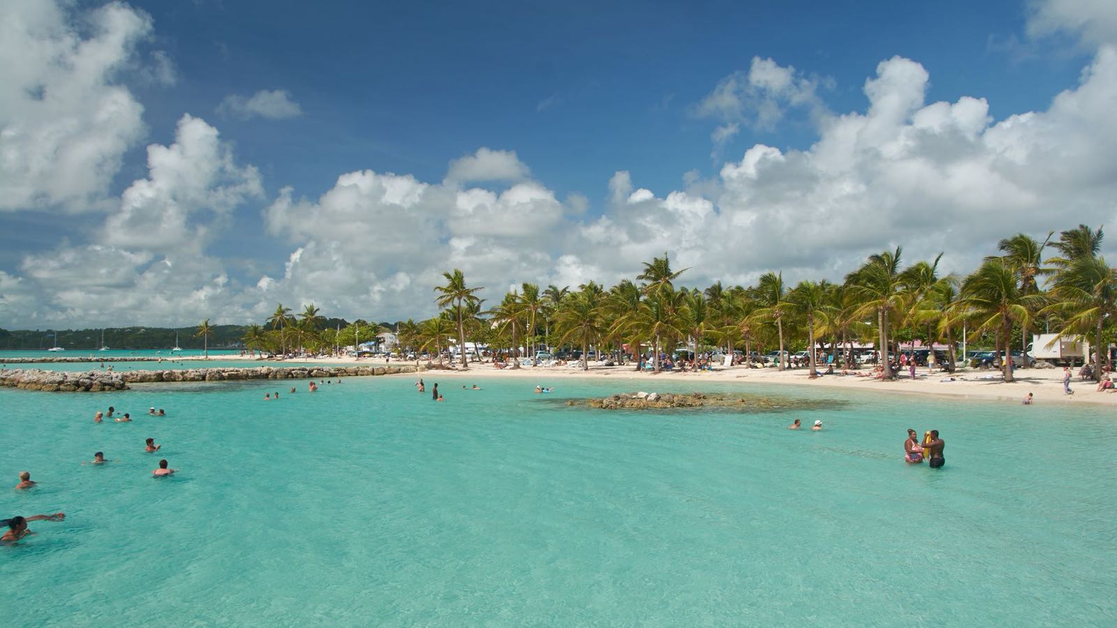 Lagon turquoise et cocotiers de la plage de Sainte-Anne, avec baigneurs dans une eau peu profonde