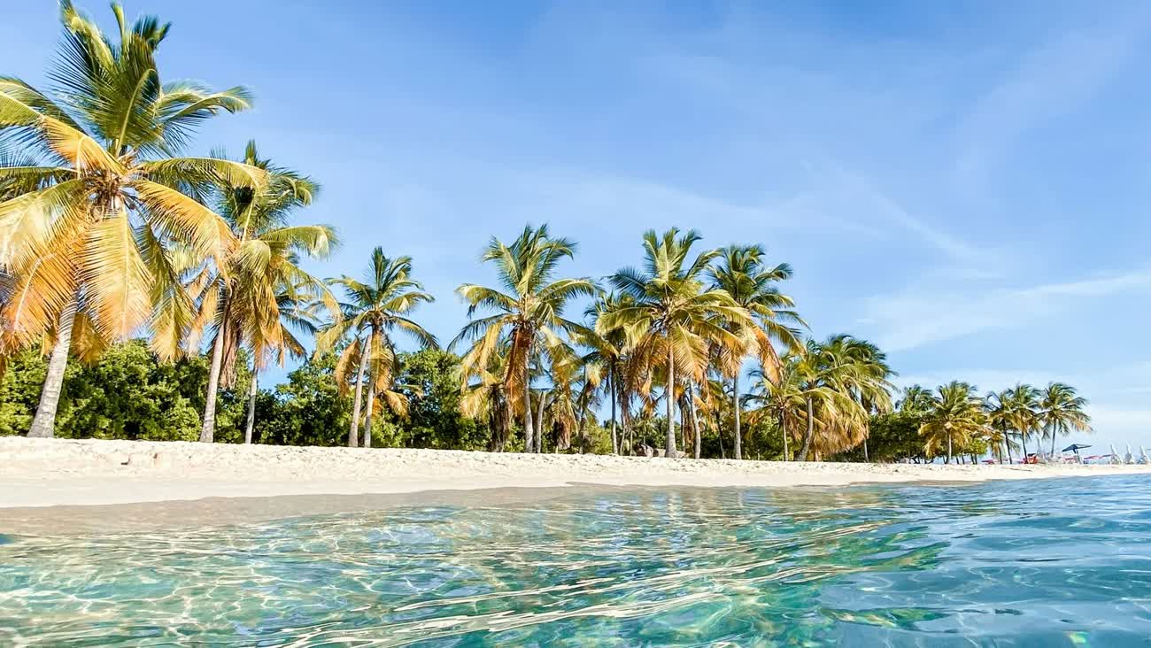 Plage de sable blanc et eau cristalline bordée de cocotiers, sud de la Martinique