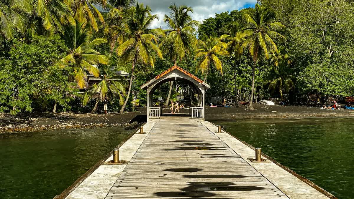 Ponton en bois s'avançant dans une anse bordée de cocotiers, côte caraïbe de la Martinique